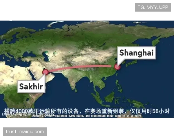 全面解析罚球规则NBA与FIBA区别的详细条款